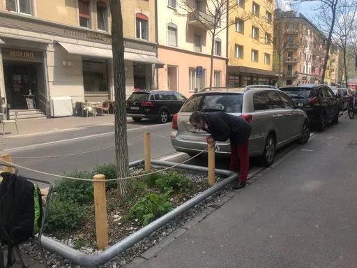 Eine Baumrabatte mit verschiedenen Pflanzen.