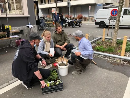 kleine Gruppe mit Setzlingen vor Baumrabatte