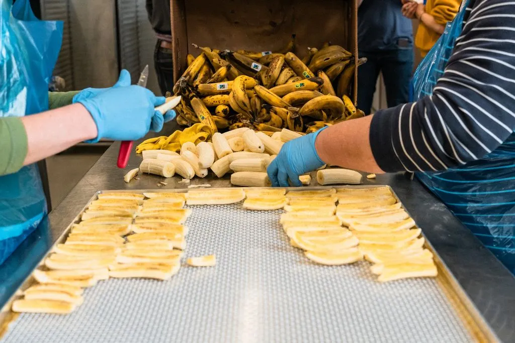 Bananen werden professionell verarbeitet.