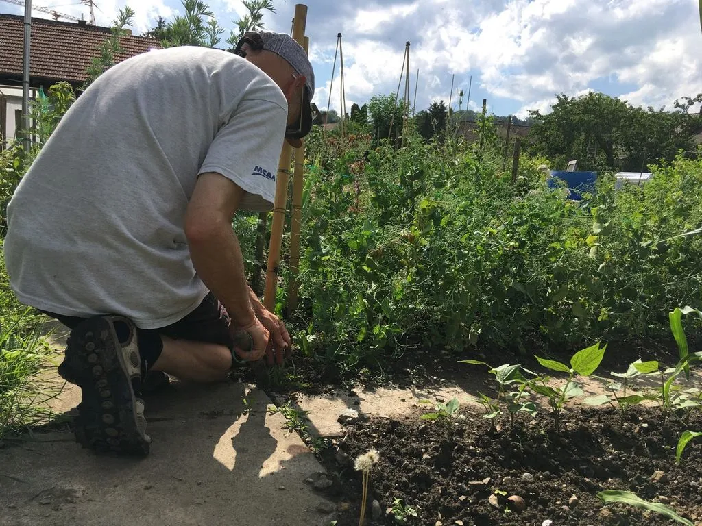 Storyteller kniet in Garten inmitten von Pflanzen
