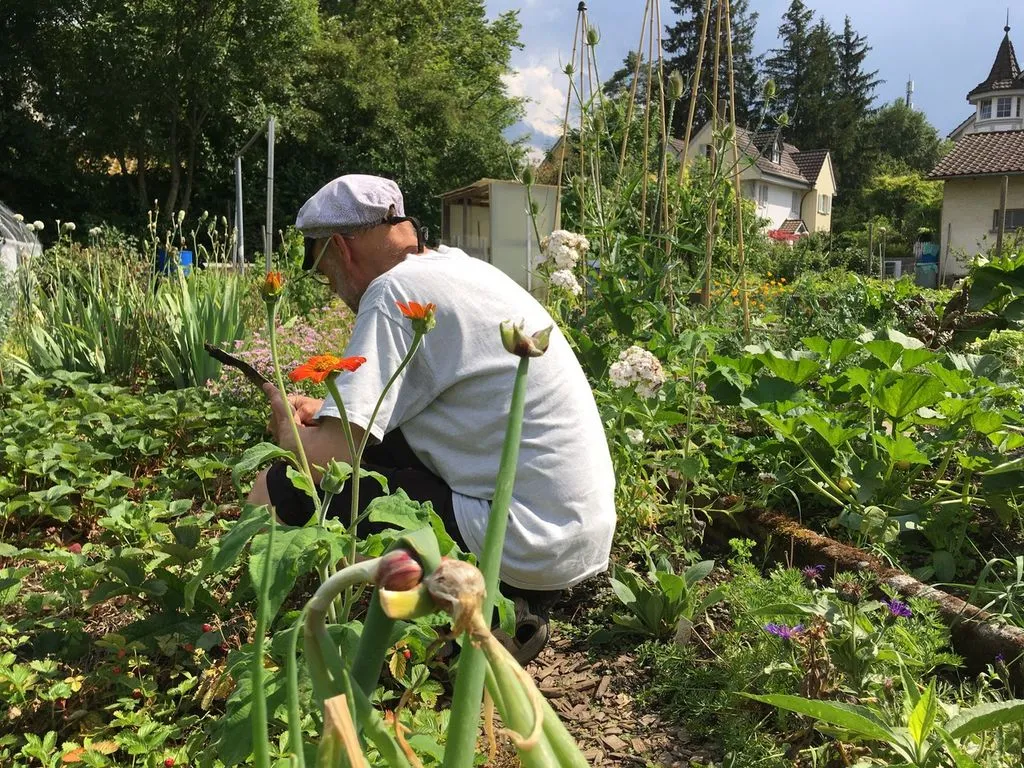 Storyteller kniet im Garten vor Pflanzenbeet