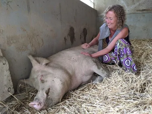 Storyteller streichelt lächelnd ein grosses Schwein in einem Stall.