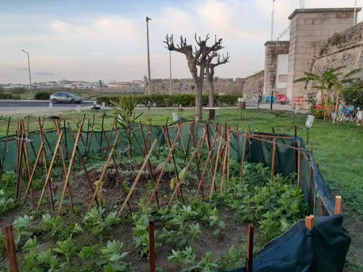 Rundes Kräuterbeet eingezäunt auf grosser Wiese.